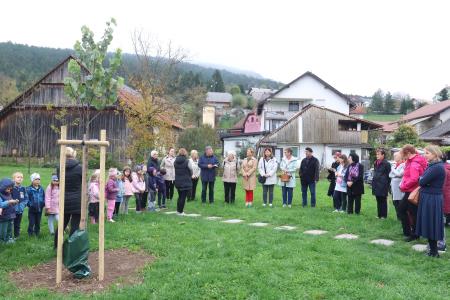 Posaditev  rožnatega drevesa v Pocinovem vrtu 09 Foto Ljubo Vukelič
